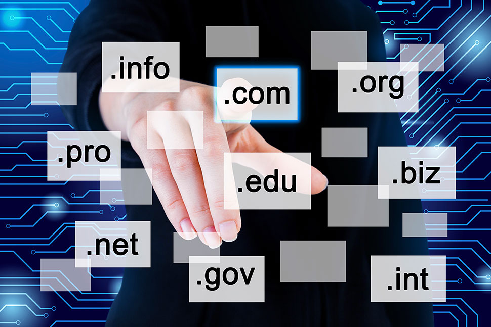 Domain Registration Services